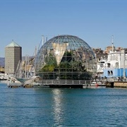 Biosfera, Genoa