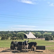 Worthy Farm, England