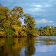 Kinabatangan River, Malaysia