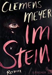 Im Stein (Clemens Meyer)