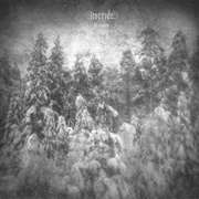 Liveride - Кокон