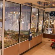 House on the Hill Toy Museum