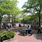 Davis Square, Somerville MA