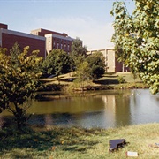 Bugg Lake Univ Mo St Louis-Normandy, MO