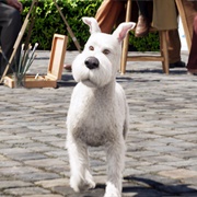 Snowy (The Adventures of Tin Tin)