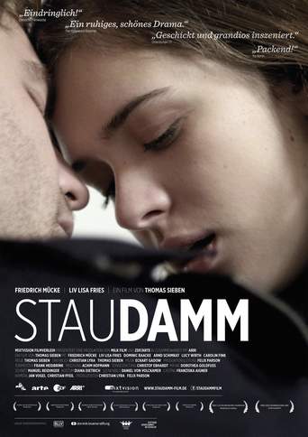 Staudamm (2014)