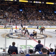 Attend NHL Game