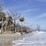 Edisto Beach State Park