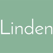 Linden