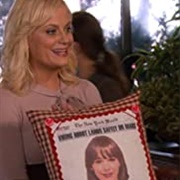Parks and Recreation: Operation Ann