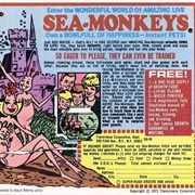 Sea Monkeys