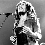 Roots, Rock, Reggea - Rastaman Vibration