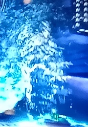 The Amazing Adventures of Spider-Man (1999)