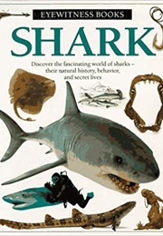 Shark (Miranda Macquitty)