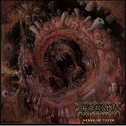 Hyperdontia- Nexus of Teeth