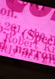 Daily News (Fitzgibbon) (2011)