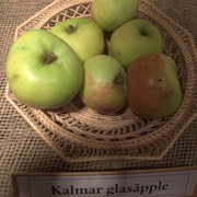 Kalmar Glasapple