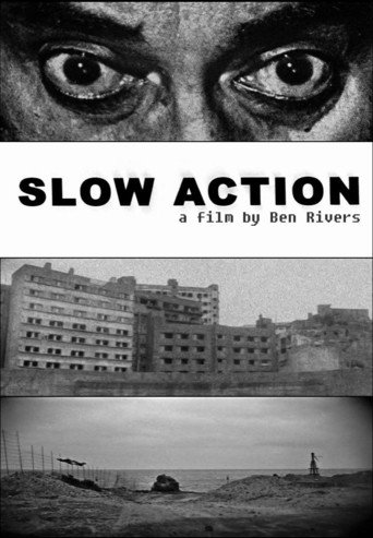 Slow Action (2010)