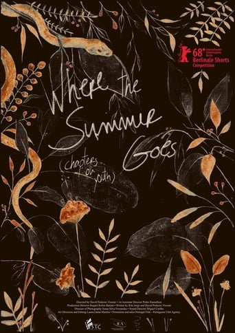 Where the Summer Goes (Chapters on Youth) (2018)