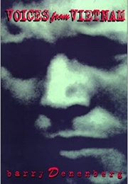 Voices From Vietnam (Barry Denenberg)