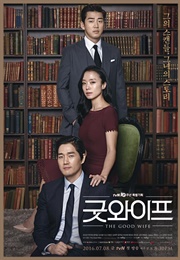 The Good Wife (2016)