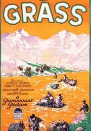 Grass (1925)