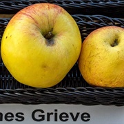 James Grieve Apple