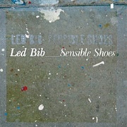 Led Bib - Sensible Shoes