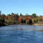 Tippy Dam Recreation Area