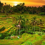 Ubud (Bali), Indonesia