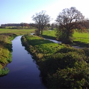 Bure River