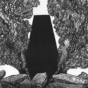 Barn Owl - The Conjurer