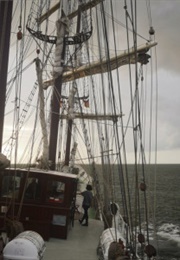 The Darling Killers (Sarah McCarry)