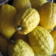 Moroccan Citron