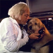 Einstein (Back to the Future)