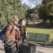 Have a Non-University Friend Come Visit You