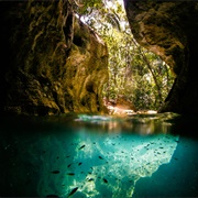 Caves Branch River, Belize