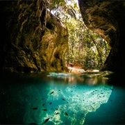 Caves Branch River, Belize