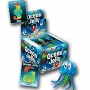 Ocean Jelly