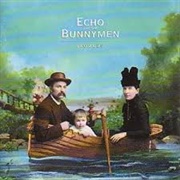 Echo & the Bunnymen - Flowers