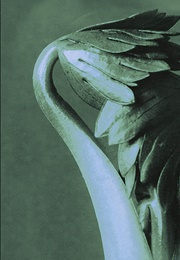 Morbus Kitahara (Christoph Ransmayr)