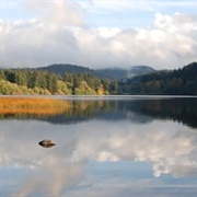 Lake Padden, Bellingham