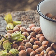 Pick and Roast My Own Hazelnuts