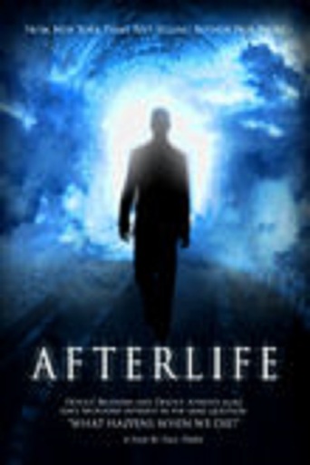 Afterlife (2011)