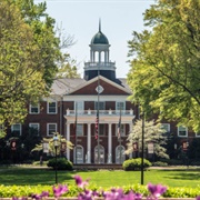 Elon University