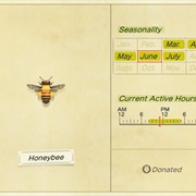 Honeybee