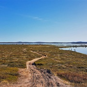 Pöyrisjärvi Wilderness Area