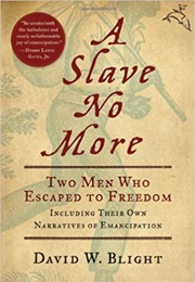 A Slave No More (David W. Blight)
