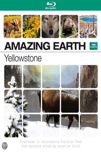 Yellowstone (2009)