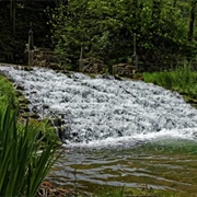 Siewer's Springs